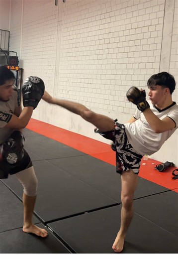 Lustige MMA-Momente: Humor und Trends