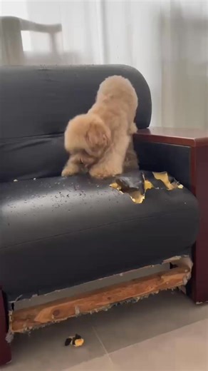 Oh my God 🤣😂😂 | Radar & O'Reilly