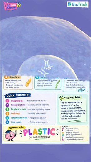 Cell Membrane Structure | Fluid Mosaic Model #igcsebiology #alevelbiology #caieexam #cambridge #caie