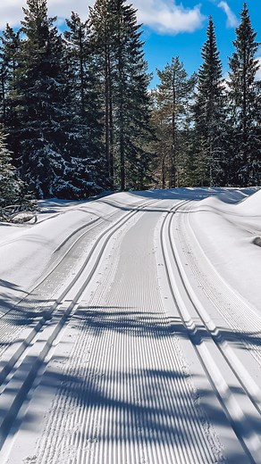Malin B. Line on Instagram: "Winter baby"