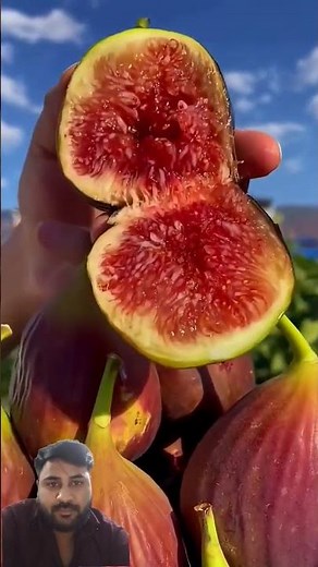 “The Secret Power of Fresh Fruits – Nature’s Sweetest Superfoods!”#fruits #cuttingfruit #farming