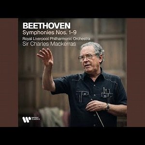 Symphony No. 9 in D Minor, Op. 125 "Choral": IV. (f) Allegro ma non tanto -