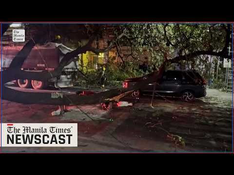 5 Fallen tree kills rider in Muntinlupa