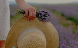 春天Spring 4KDolby Vision