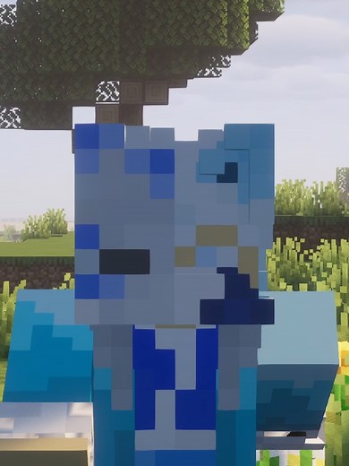 How To Put An Item In Your Offhand#minecraft #minecrafttutorial #meme #funny #gaming