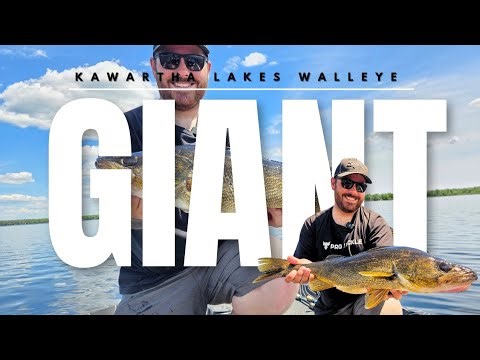 Spring Walleyes in the Kawartha Lakes - Giant Fish Caught!!!