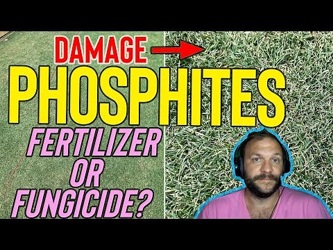 Phosphites For Lawns - Fertilizer Or Fungicide?