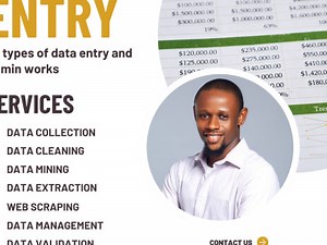 Data Entry, Excel Expert, Data Cleaning, Formatting and Data Annotation
