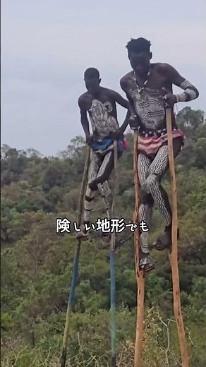 オモ族の生存技術、竹馬