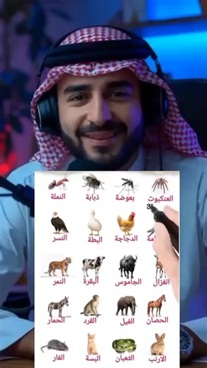 Arabic To Urdu Translate #arabiclearning #arabicprofessor #learnarabic #learntowritearabic #arabicwords