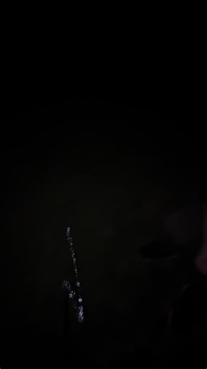 the_poop_man4 on TikTok