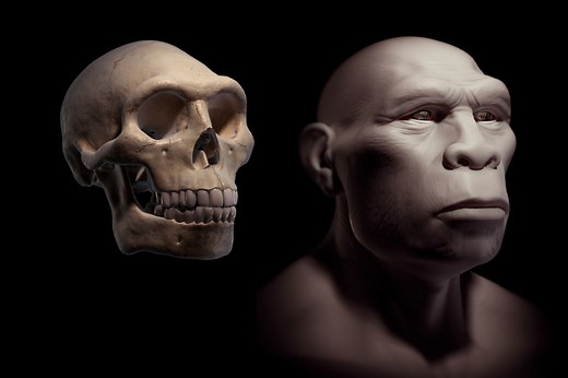 The Multiregional Hypothesis: a Discredited Theory of Human Evolution