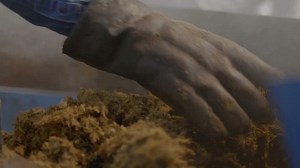 clip-1109728421-sugarcane-bagasse-close-fibrous-material-left-over