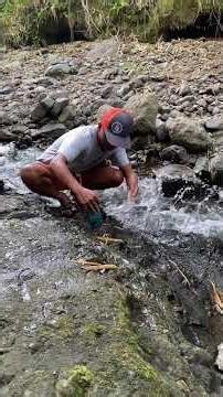 water flowing and nature cinematic #mobilevideoediting #mobilevideography