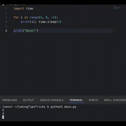 Did You Know Python Can Have Semicolons Too?