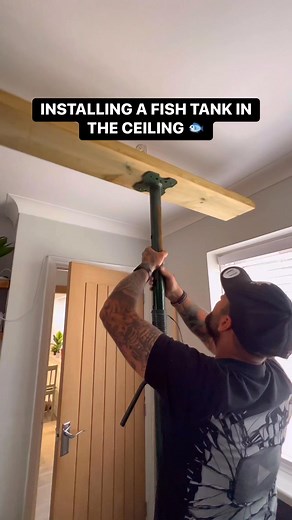 Installing A Fish Tank In The Ceiling #How #carpenter #reels #HomeImprovement #doityourself #diy #howto | The Home Improvements Channel Uk