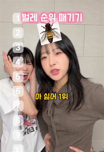 벌레 순위 매기기와 도전 챌린지