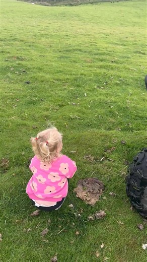 Straight back from nursery and onto the farm to move sheep. No keeping this girl away 😂🙈. #minishepherdess #sheep #toddler | Red Shepherdess