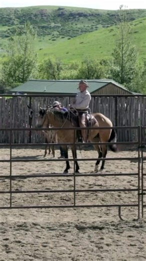 132K views · 5.6K reactions | Throwback from the 2022 Houlihan Ranch Summer Colt Starting Sunday Am Session. Catch the whole 4 day clinic only on 3Rein Media ! #horseriding #horsetraining #horsemanship #coltstarting #Horses #horselife | 3Rein Media | Facebook