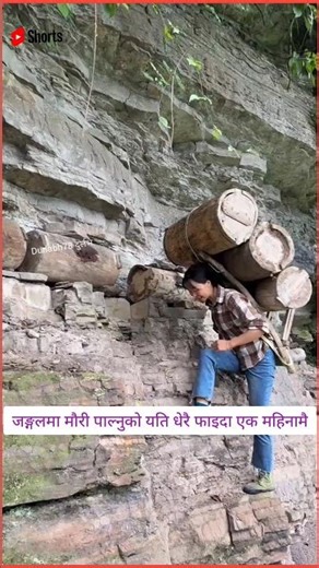 मौरी पाल्ने गजबको आइडिया#ytshorts #subscribers #support #honey