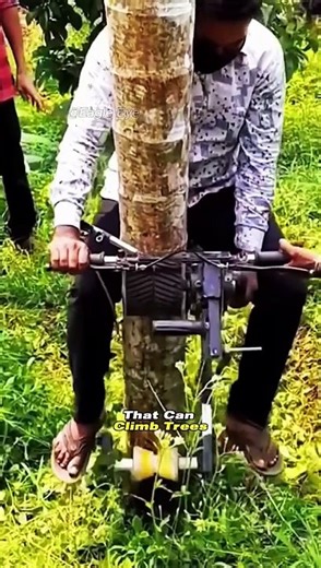 Whoever Built This Machine Was a Genius!  | Revolutionary Coconut Tree Climbing Machine