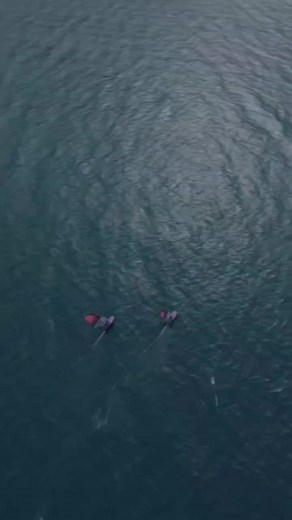 Windsurfing Tricks and Skillful Maneuvers on Water