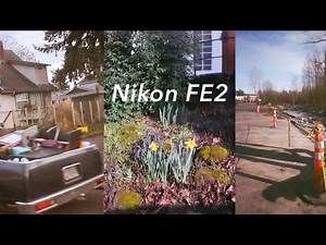 The Nikon FE2 Experience