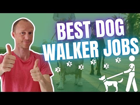 3 Best Dog Walker Jobs (Yes, It Is Possible)