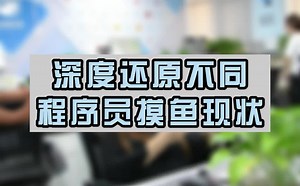 深度还原各种程序员的摸鱼现状，最后一种是什么程序员呢？