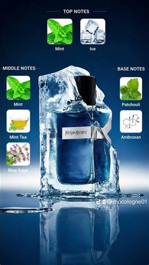 YSL Y ICED COLOGNE #summer #fyp #ysl #foryou #fragrance #perfume