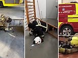 Firefighters take on the #LadderChallenge and crawl through ladders