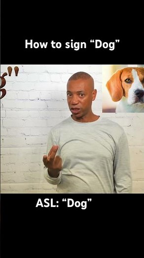 How to sign “Dog”