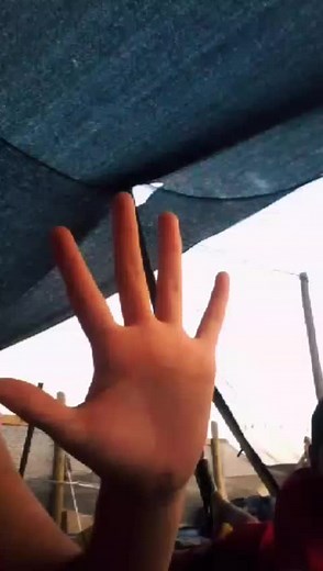 Exploring Hand Gestures: A Visual Study