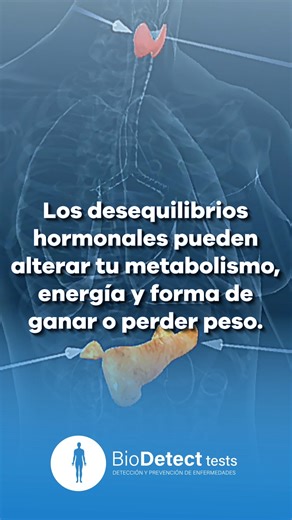 Con el Examen Nutricional de Biodetect, analizamos cómo está funcionando tu organismo para que entiendas qué te impide avanzar y puedas equilibrarlo desde adentro. 💚 Tu cuerpo tiene respuestas, solo hay que saber dónde mirar. 📅Agenda tu control en el link 🔗 de la BIO. | BioDetect