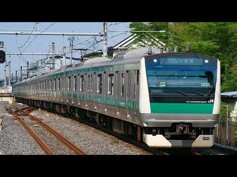 「ヨドバシカメラ」でりんかい線 埼京線 相鉄線の駅名を歌います駅舎合成