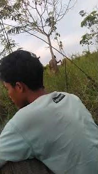 Ngintip anak SMA wik wik wik di kebun