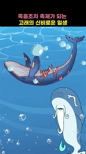 죽음조차 축제가 되는 고래의 신비로운 일생