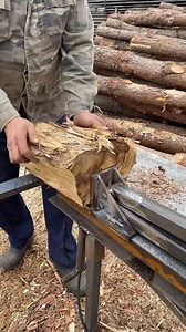 🪓Firewood destroyer, acacia cutting🪓 | Wood Splitting Machines
