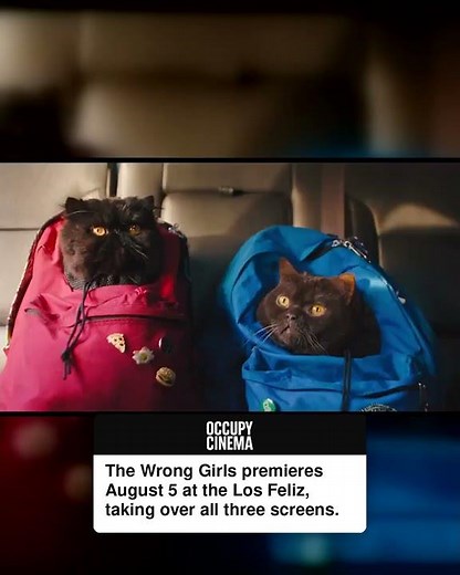 The Wrong Girls with Kirstin Stewart opens on August 5