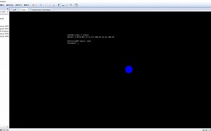 linux搭建web服务