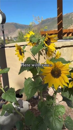 Unforgettable Experience at Iron Mountain Hot Springs ✨