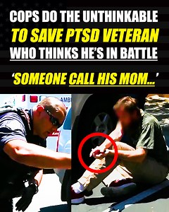 Cops do the UNTHINKABLE to save PTSD veteran who thinks he's still in the WAR TRENCHES... | Brawl Breakdown