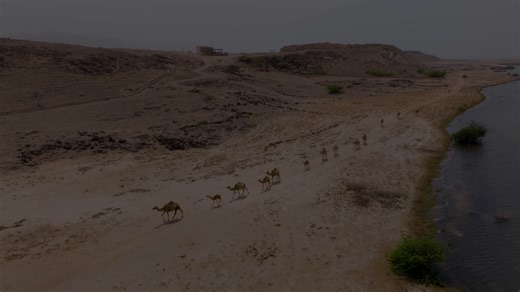 Here's the trailer for Arabia's Best Kept Secrets, the new series I produced and directed. Had a blast making this one, with an incredible team.  A real adventure that crossed Saudi Arabia, Bahrain… | Joseph Cunningham