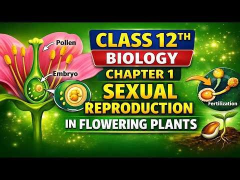 Flower – A Fascinating Reproductive Organ | Class 12 Biology Chapter 1 Explained