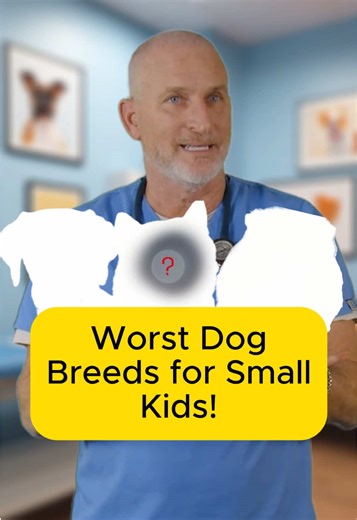 Worst Dog Breeds for Families with Small Children