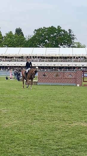 156K views · 2.2K reactions | Hamburg Derby Winner 磊 2023 @marvin_jungel & Balou‘s Erbin spring-reiter.de | spring-reiter.de | Facebook