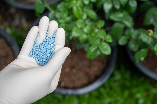 The Secret to Decoding Fertilizer Numbers (It’s Simpler Than You Think)