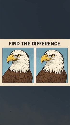 Find the difference between two images.