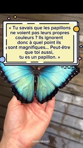 Liana Silveira on Instagram: "Parfois, on cherche notre valeur dans les yeux des autres, alors qu’elle est déjà en nous. La beauté, ce n’est pas seulement ce qu’on reflète, c’est aussi ce qu’on dégage sans même s’en rendre compte. Apprends à te regarder autrement : tu es bien plus lumineuse que tu ne l’imagines. #pourtoi #coaching #beaute #motivation #challenge #message #confiance #papillon #femme #butterfly"