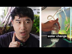 let's DEBUNK aquarium myths and "hacks" | Fish Tank Review 372